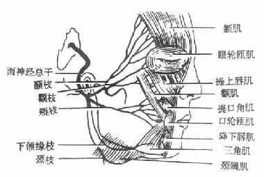 沿鼡񾭷֧