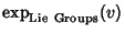 $\displaystyle \mathop{\rm exp}\nolimits _{\rm Lie\ Groups}(v)$