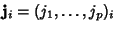 ${\bf j}_i=(j_1, \ldots, j_p)_i$