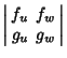 $\displaystyle \left\vert\begin{array}{cc}f_u & f_w\\  g_u & g_w\end{array}\right\vert$