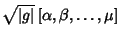 $\displaystyle \sqrt{\vert g\vert} \,[\alpha, \beta, \ldots, \mu]$