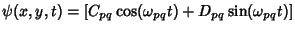 $\psi(x,y,t)=[C_{pq}\cos(\omega_{pq} t)+D_{pq}\sin(\omega_{pq} t)]$