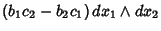 $\displaystyle (b_1c_2-b_2c_1)\,dx_1\wedge dx_2$