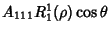 $A_{111}R_1^1(\rho)\cos\theta$